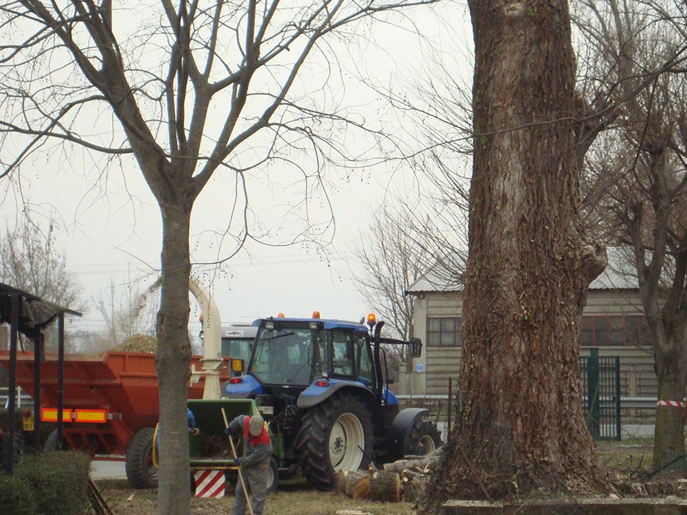 rete ornitologiche