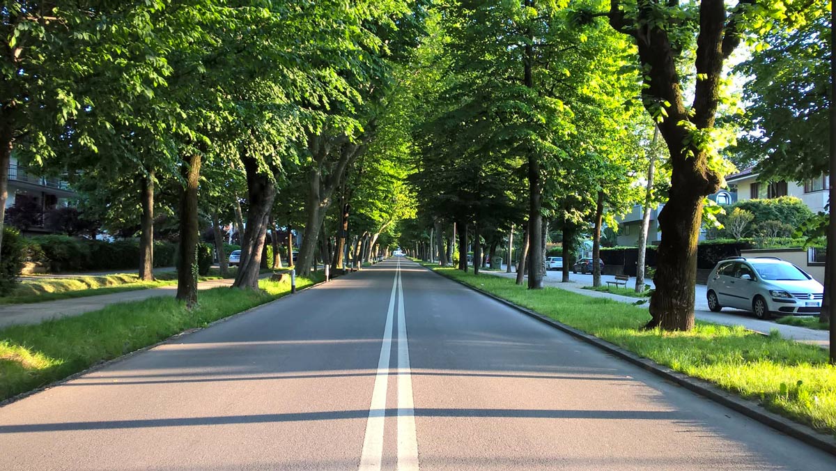 manutenzione marciapiedi e alberi per comuni - servizi dordoni lodi