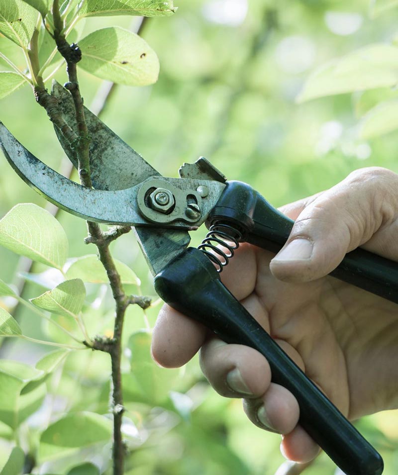 Servizio Dordoni - Servizio di Consulenza Tecnico-Scientifica