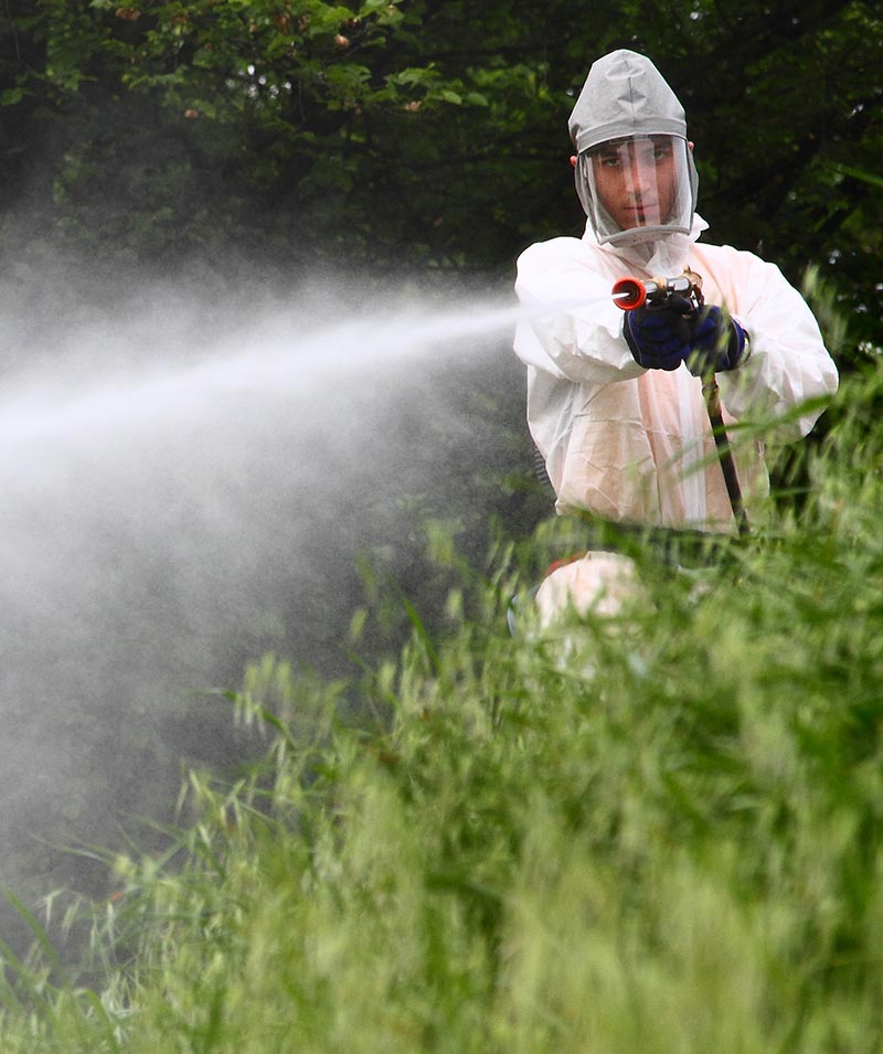 Servizio Dordoni - Servizio di Disinfestazioni