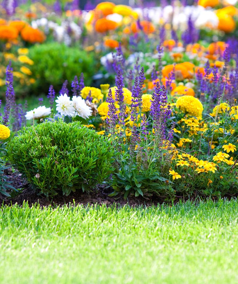 Servizio Dordoni - Servizio di Manutenzione del verde